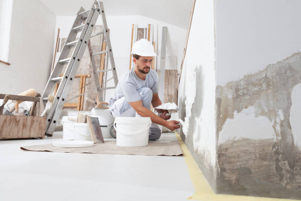 Best Interior Painting  in , LA